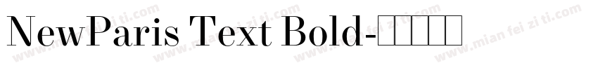 NewParis Text Bold字体转换